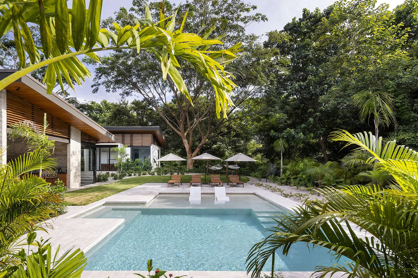 Pool and garden framed by tropical palms